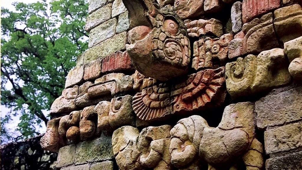 Ornamenta Maya