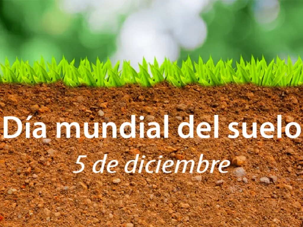Día mundial del suelo